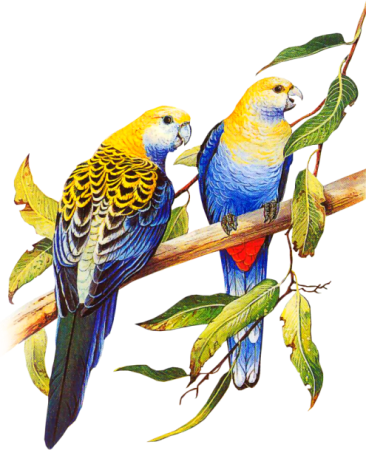 őszi állatok_47.png